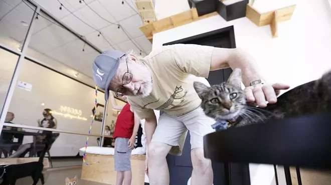 Image: Spokane Kitty Cantina