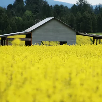 Image: Spokane (un)Seen