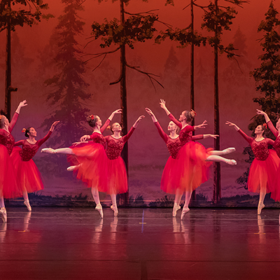 Image: Autumn Leaves in The Seasons, 2019