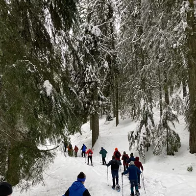 Image: Group of people snowshoeing in a snowy forest.