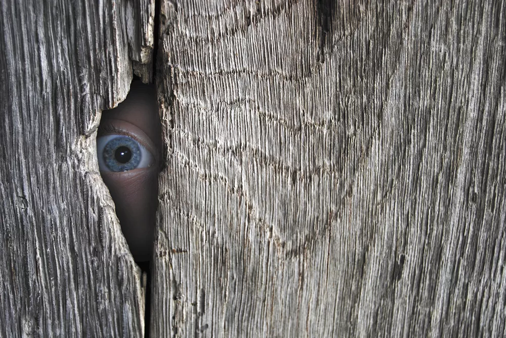 Surveillance State