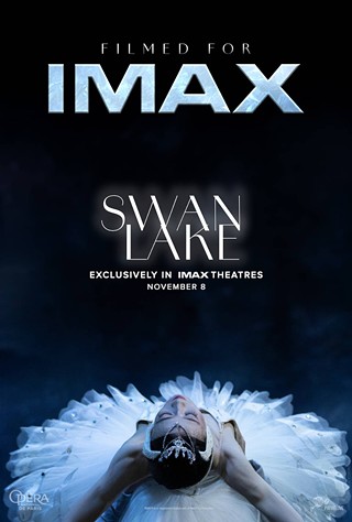 Image: Swan Lake