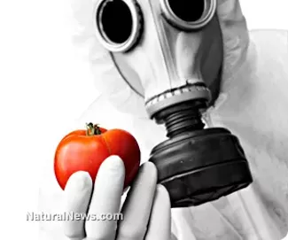 Syringes, gas masks and Frankenfood: Visuals of the GMO debate