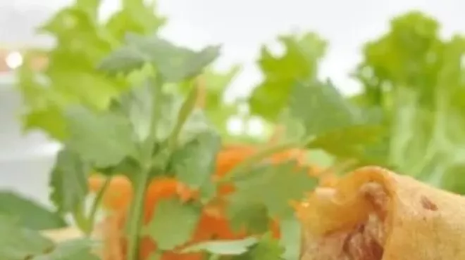 Image: Thai Cooking: Fresh and Fried Rolls