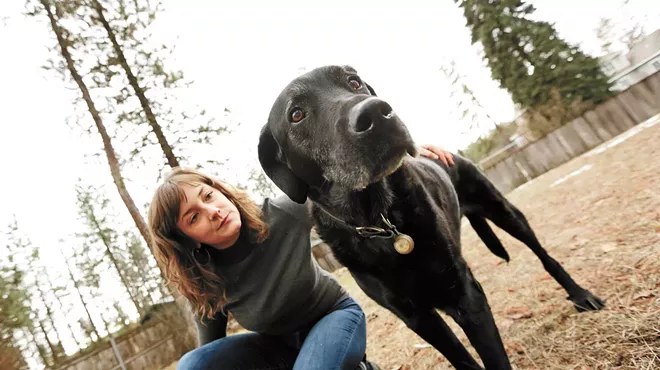 Image: The continuing quest to stop downtown Spokane's sidewalks from electrocuting dogs