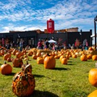 The Great Pumpkin Fest