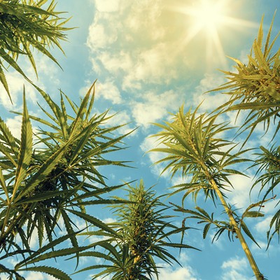 Image: Three sativa-leaning products to toke all summer long