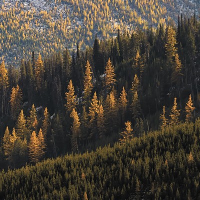 Tradition and science go hand-in-hand as state, federal agencies look at thinning forests to prevent out-of-control wildfires