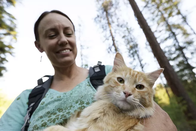 Meet two nature-loving cats living in Spokane who've become stars of the #adventurecat world