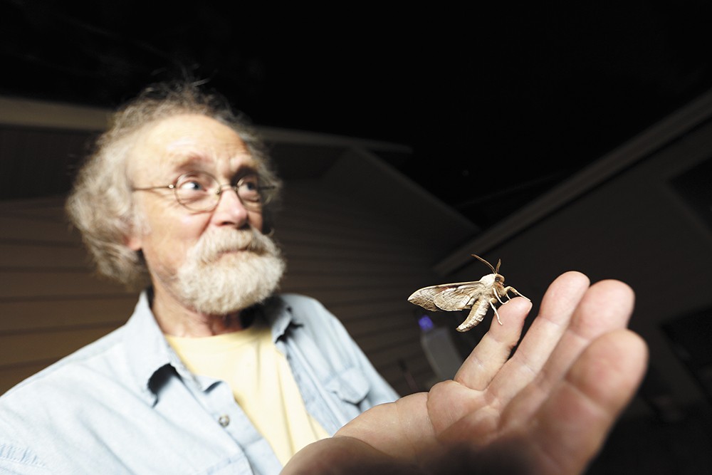 While moths may not seem glamorous, thousands of species are waiting to be discovered