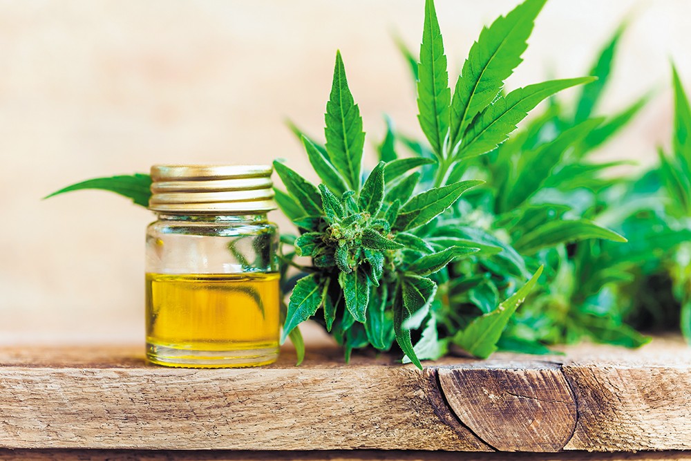 Why CBD products might be the right solution to treat everything from insomnia to epilepsy