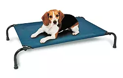Gifts for Furry Friends