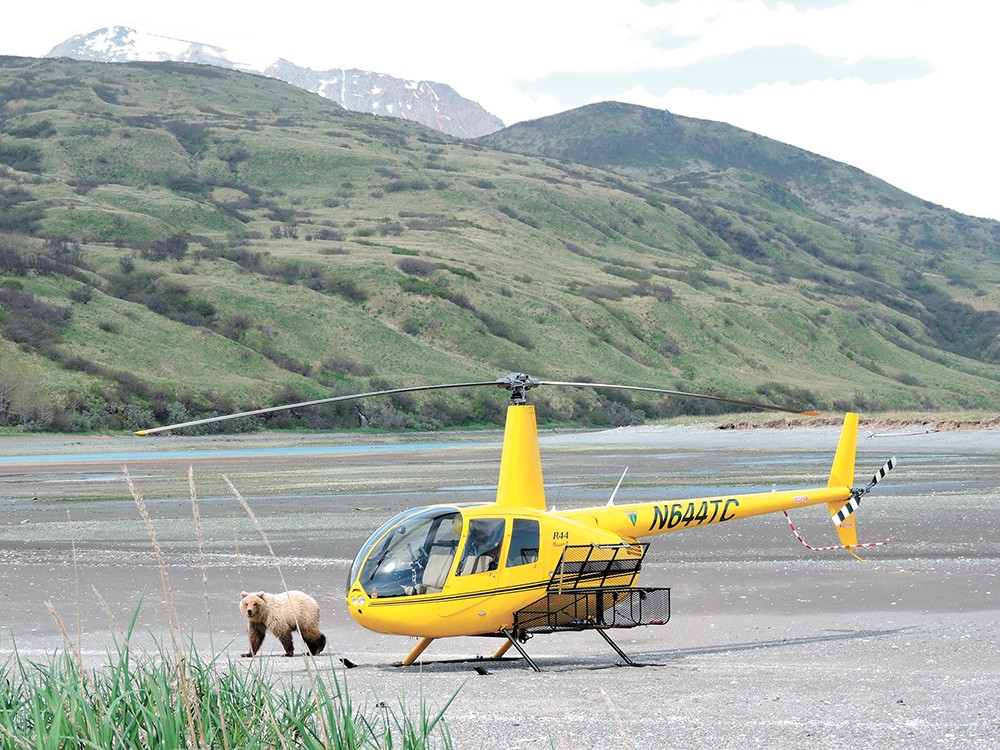 A WSU researcher lived with grizzly bears in Alaska. She came away convinced humans and grizzlies can coexist