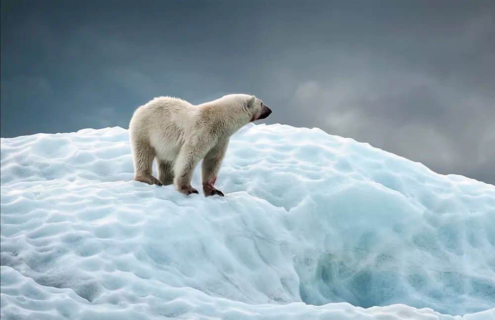 The Wild & Scenic Film Festival aims to inspire a new generation of conservationists
