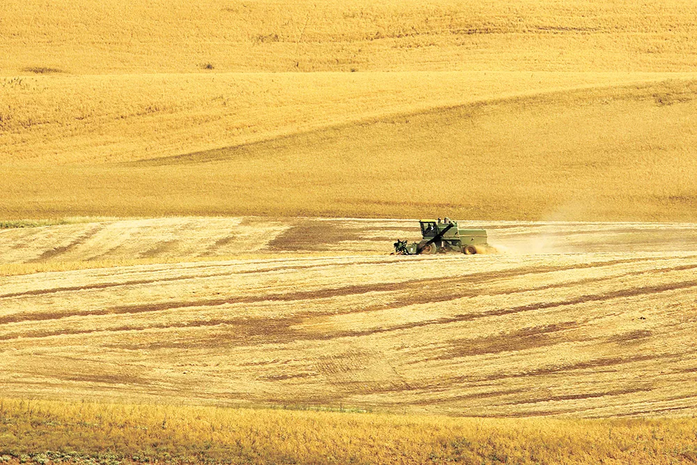 In the ongoing trade war, China announces it won't buy any U.S. ag products - just as American farmers prepare their harvest