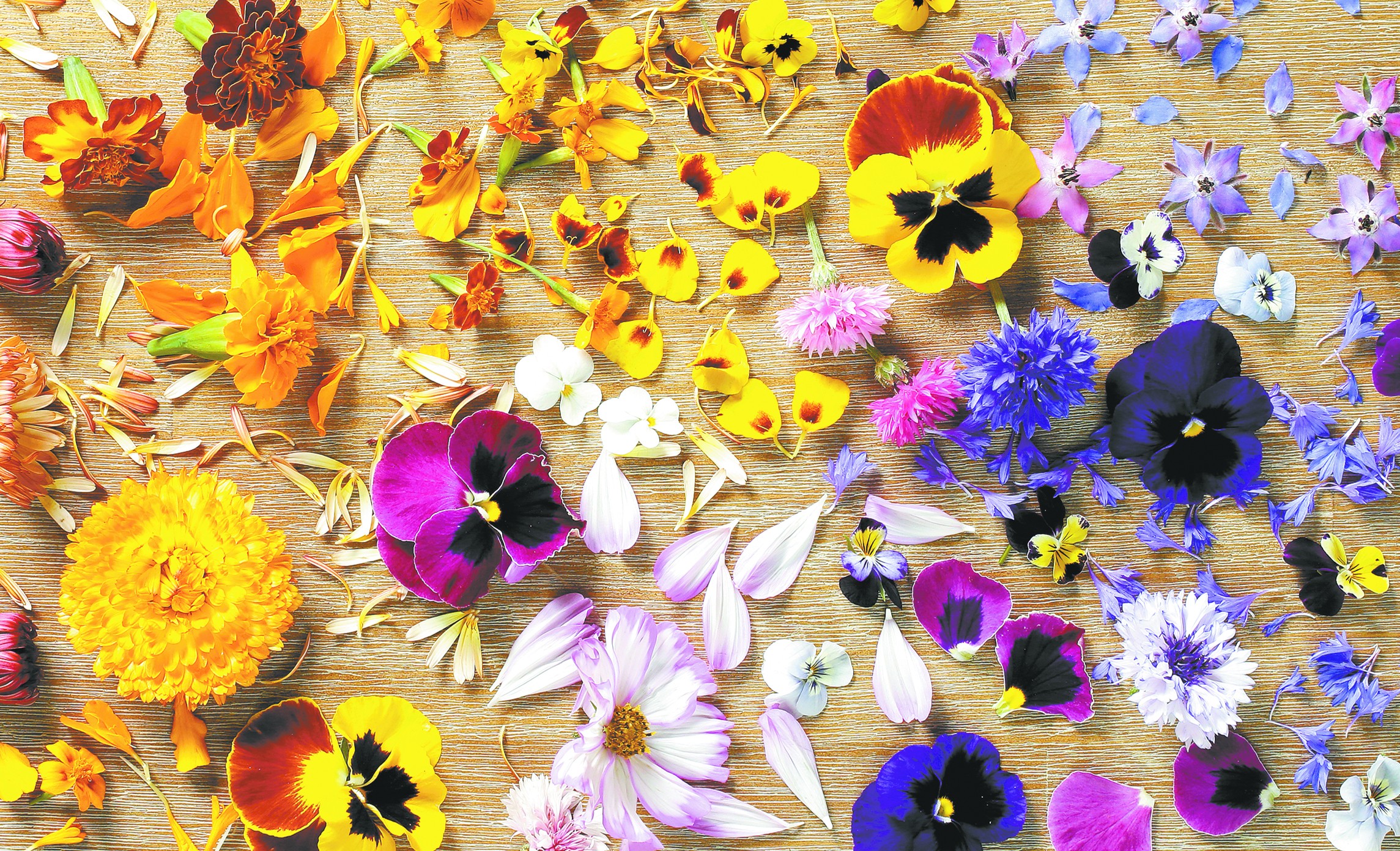 Edible flowers are a visual highlight on local menus, with pansy, marigold, calendula blossoms and more