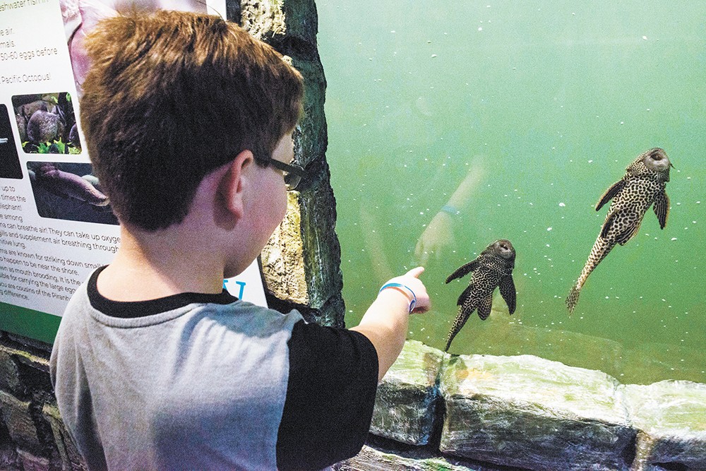In its first month, NorthTown Mall's Blue Zoo aquarium was hit with a tidal wave of criticism