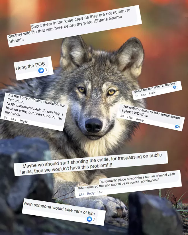 Violent threats that partially led to cancelled wolf meetings came from pro-wolf Facebook commenters