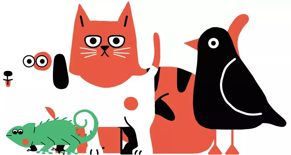 Pet playlists on Spotify, Night on Earth on Netflix, and more you need to know