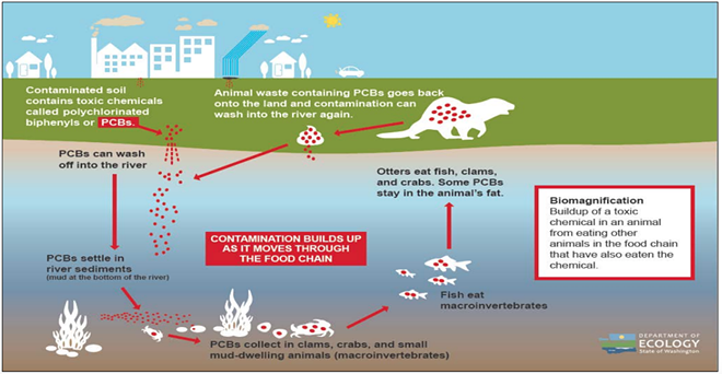 Webinar on Spokane River pollution rescheduled to Thursday after technical difficulties