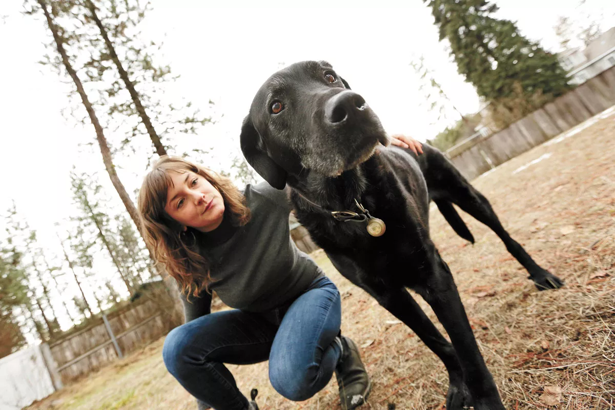 The continuing quest to stop downtown Spokane's sidewalks from electrocuting dogs