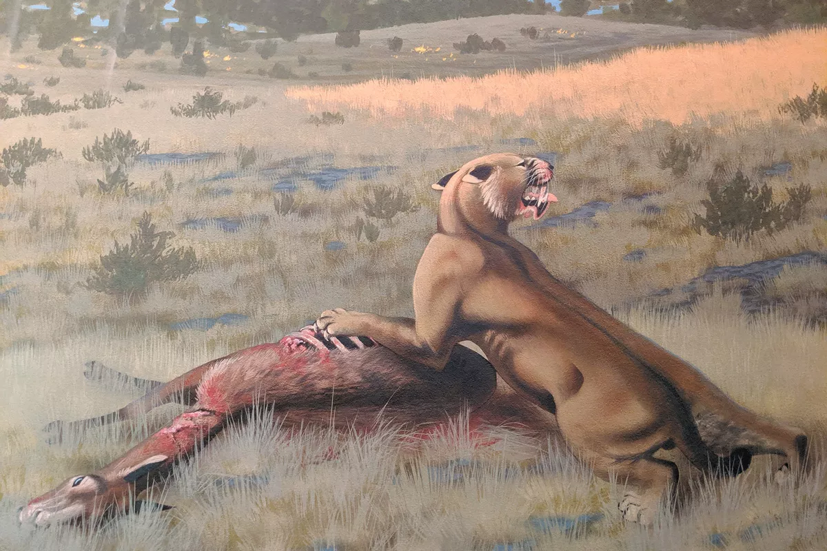 What if massive saber-toothed cats roamed the Inland Northwest?