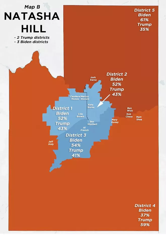 Abe Lincoln in a jacuzzi, and other potential consequences of the proposed county commissioner districts (3)