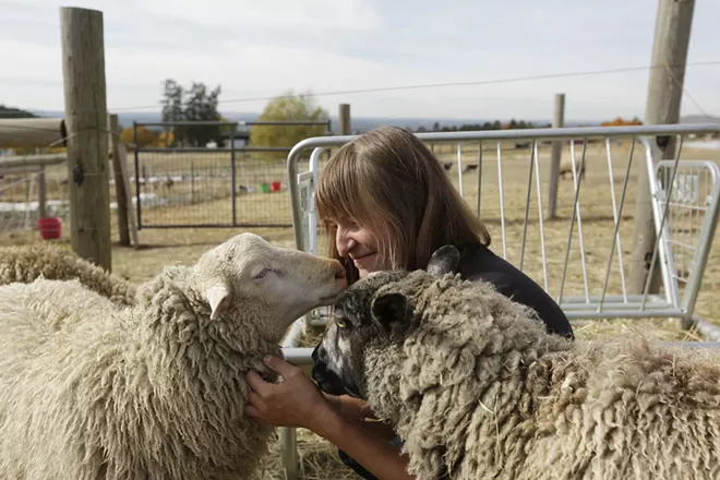How two local farmers extend the season past harvest's peak while investing in the future of farming