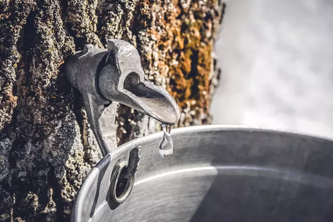 A North Idaho couple creates and shares their love of maple syrup at Athol Orchards farm