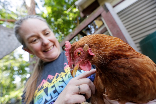 With backyard chickens, a pet can produce love, life lessons — and breakfast