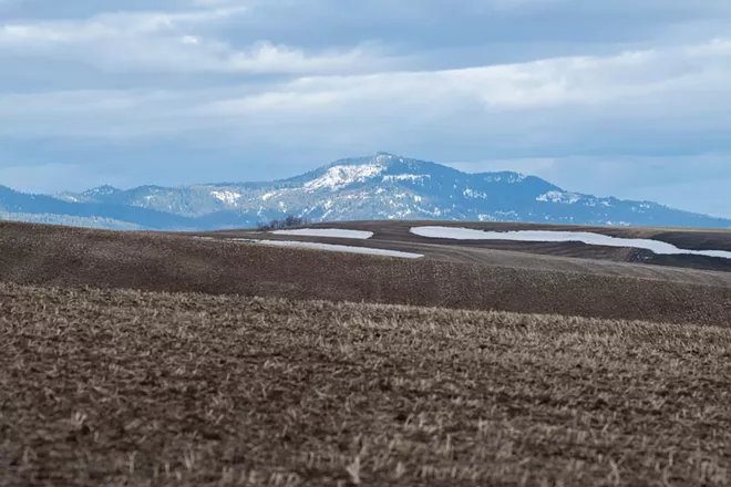 Seed banks around the world guard against the perils of industrialized farming and disasters. One of the most diverse banks in the U.S. can be found on the Palouse