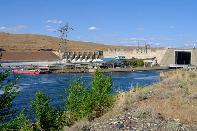 Debate over the lower Snake River dams' removal has gone on for decades. What will it take to protect the river's health?