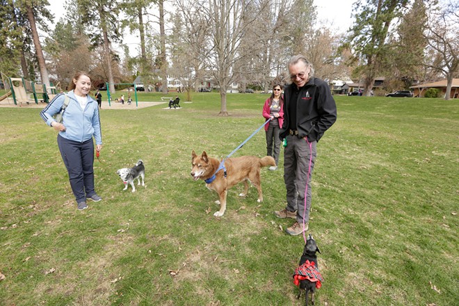 Sixteen volunteers at Spokane Humane Society resign over disagreements with new leadership