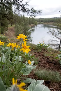 A 25-mile hike encircles Spokane's Riverside State Park. I tried to walk it in a single day