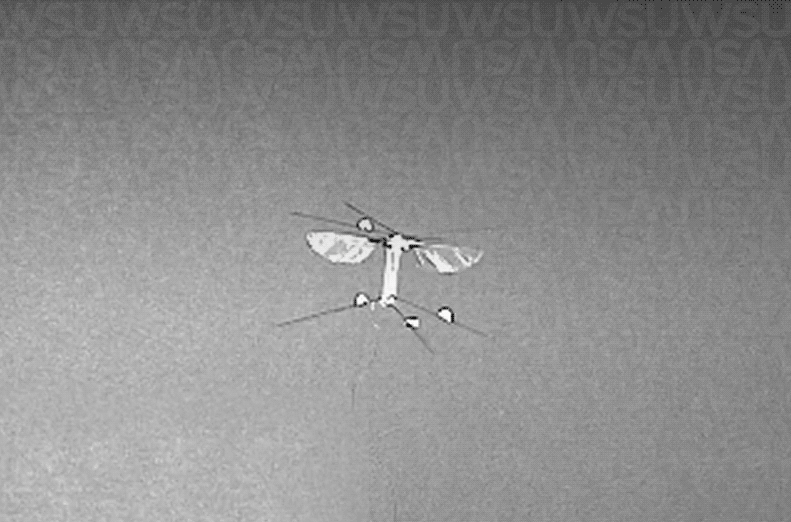 WSU team invents an autonomous insect-like machine with a plethora of environmental and research applications