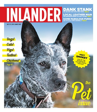 Submit your cute pet pics to the Inlander's Cover Pet Photo Contest by June 25!