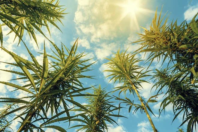 Three sativa-leaning products to toke all summer long