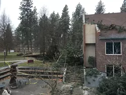 As power is restored, here are the stories you may have missed