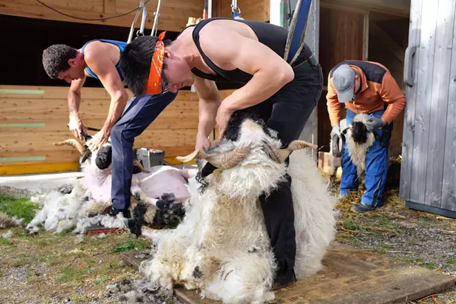 First-ever Modern Homesteading Conference in North Idaho teaches how to live off the land, from raising livestock to preserving food