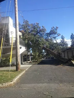 City Council gets progress update addressing aftermath of windstorm