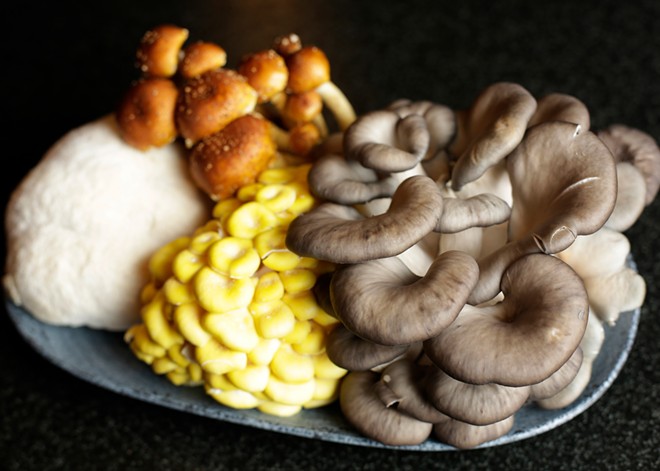 Family-owned Gem State Mushrooms offers gourmet fungi to homecooks and professional chefs all year
