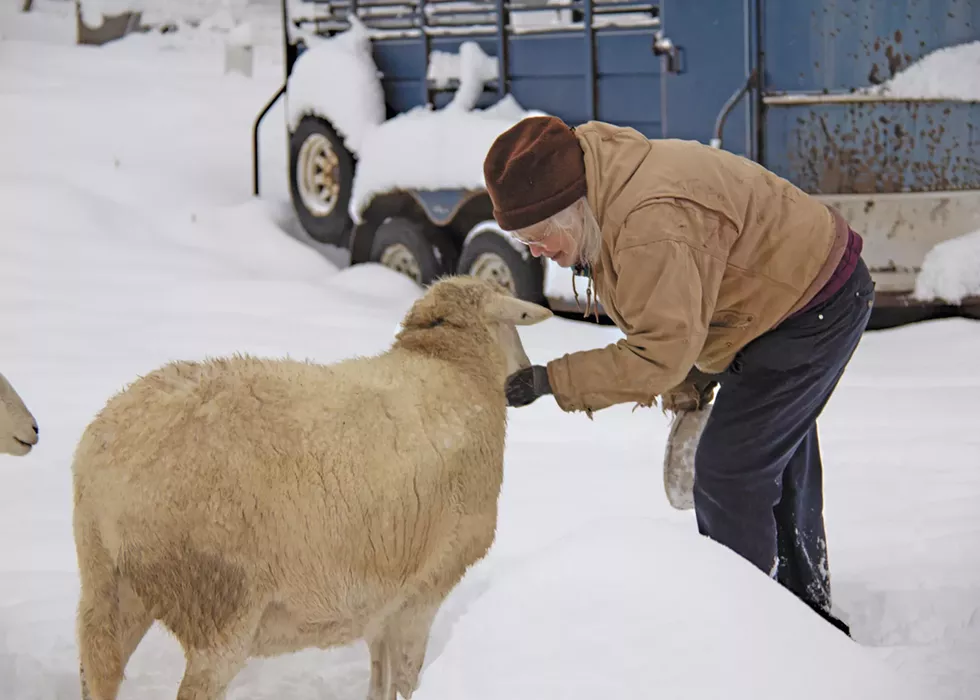 How humans relate to those that bleat, bark and buck