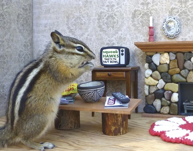 Chipmunks are the stars in a business that started out as just a hobby for a Spokane couple