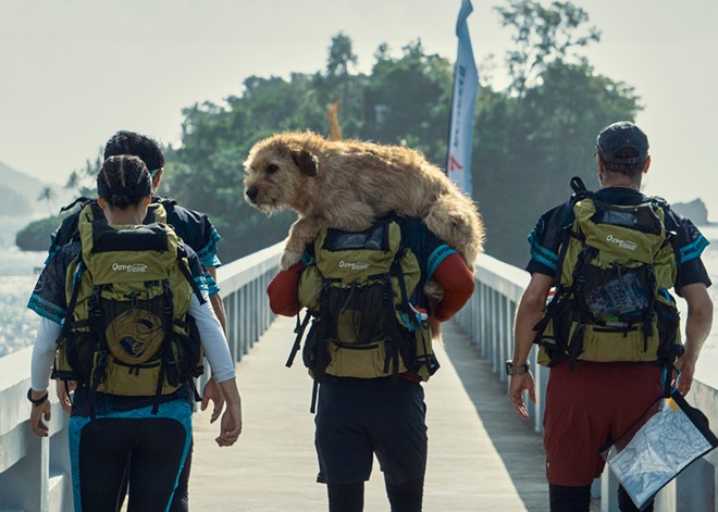 Mark Wahlberg teams up with a cute canine for the uninspired sports drama Arthur the King