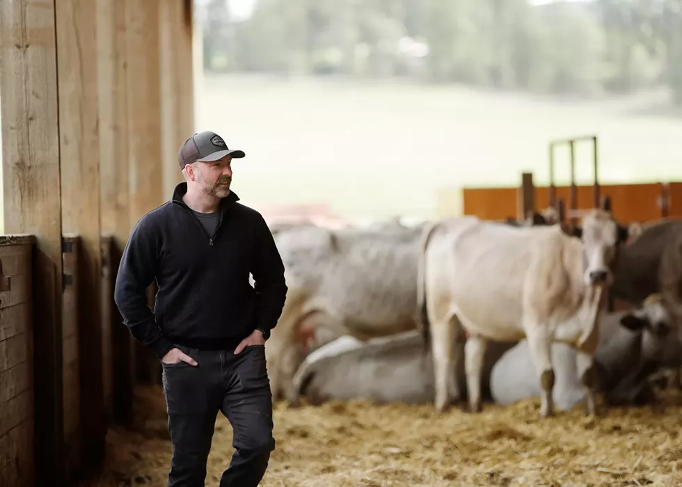 Valleyford rancher Justin Owens seeks to reimagine ranching with his Piedmontese cattle