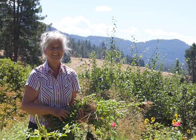 Naturopathic doctor Casey Carr hosts three farm-to-table dinners to encourage rooted thinking about food as medicine