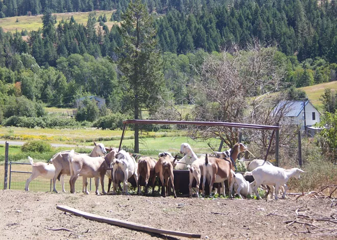 Naturopathic doctor Casey Carr hosts three farm-to-table dinners to encourage rooted thinking about food as medicine