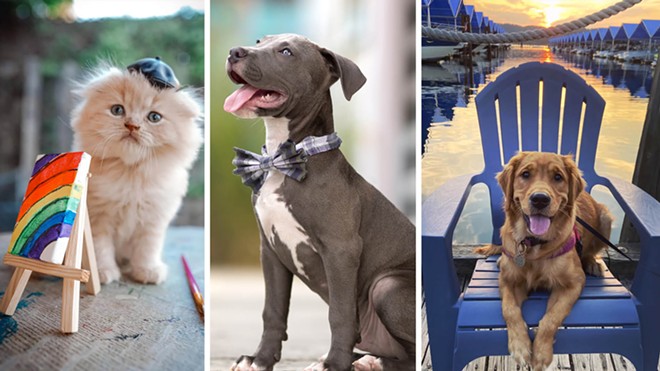 Last Chance! Vote for finalists in the Inlander's 2024 Cover Pet Photo Contest (2)