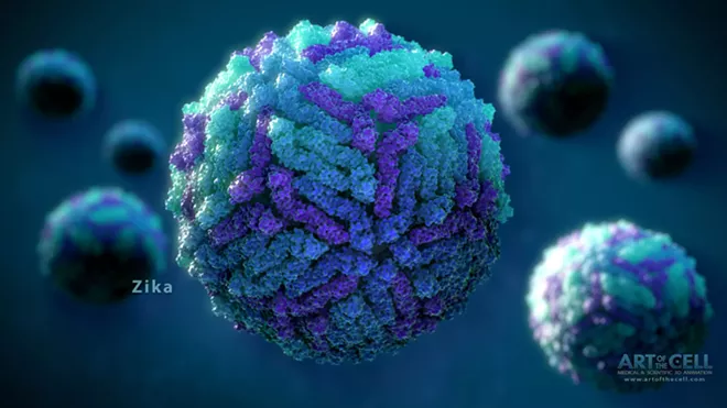 Gross summertime health hazards: Zika, West Nile and rabid bats