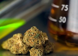 Olympia sees heavy metals as a problem for medical marijuana. So why isn't it the same for the recreational market?